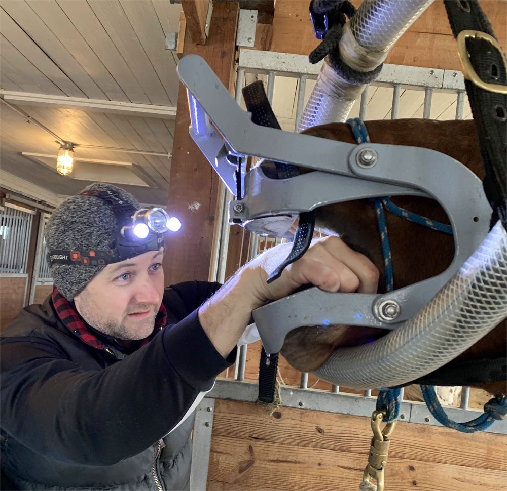 Man inspecting horse teeth using headgear light.