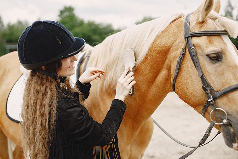 Horse rider caring for her horse