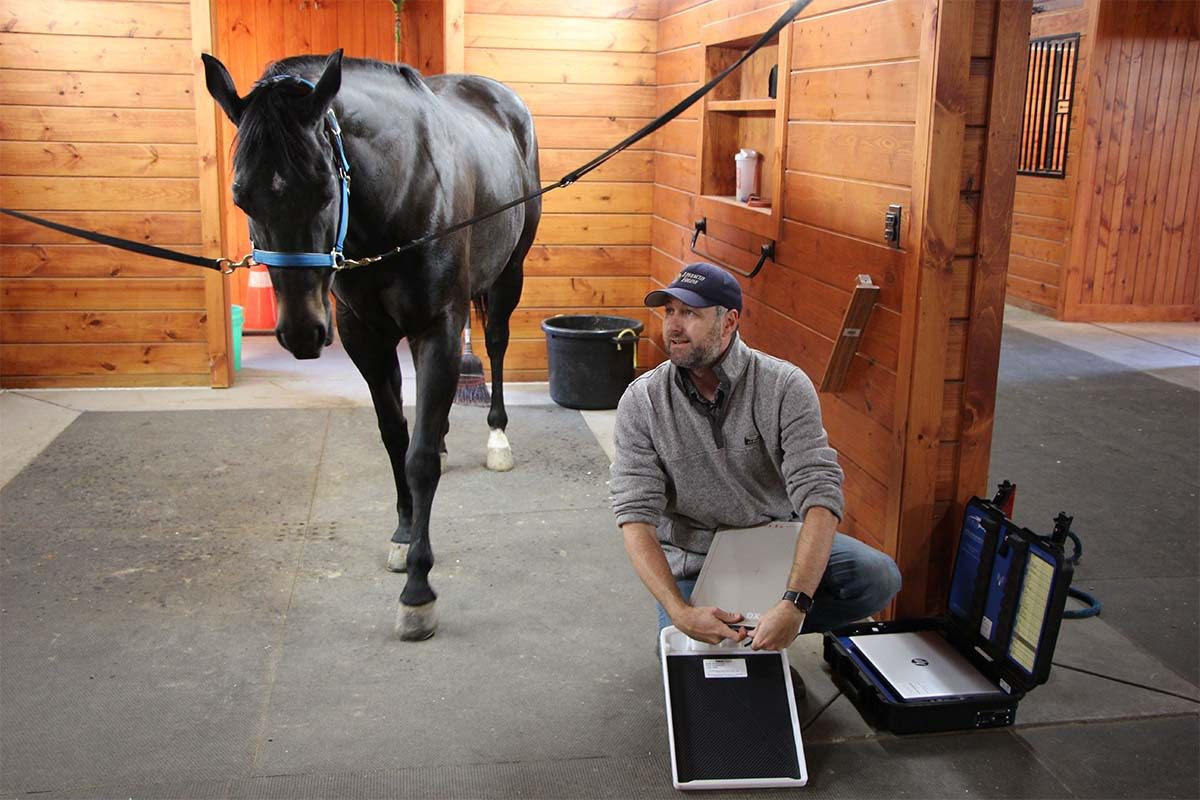 Man preparing equipment next to horse