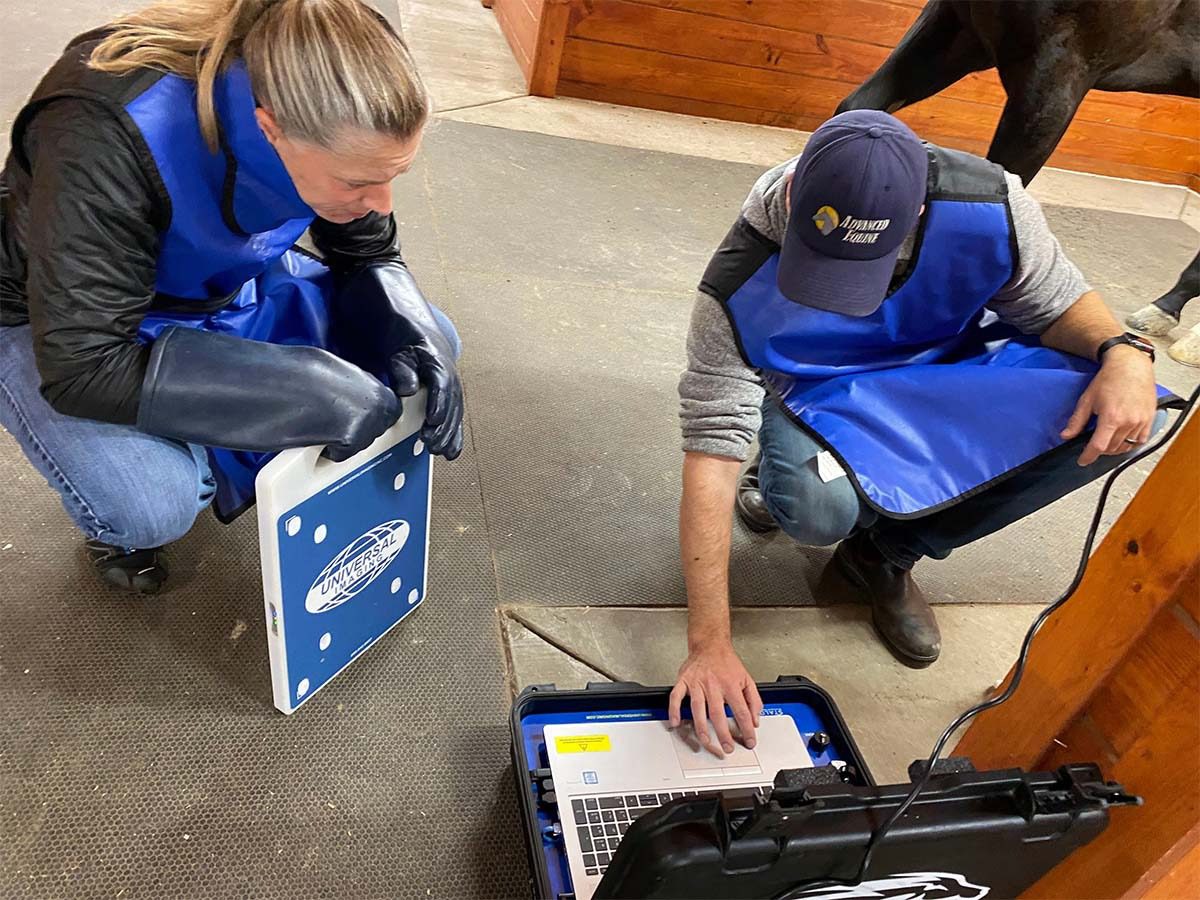 Two people using veterinary technology.