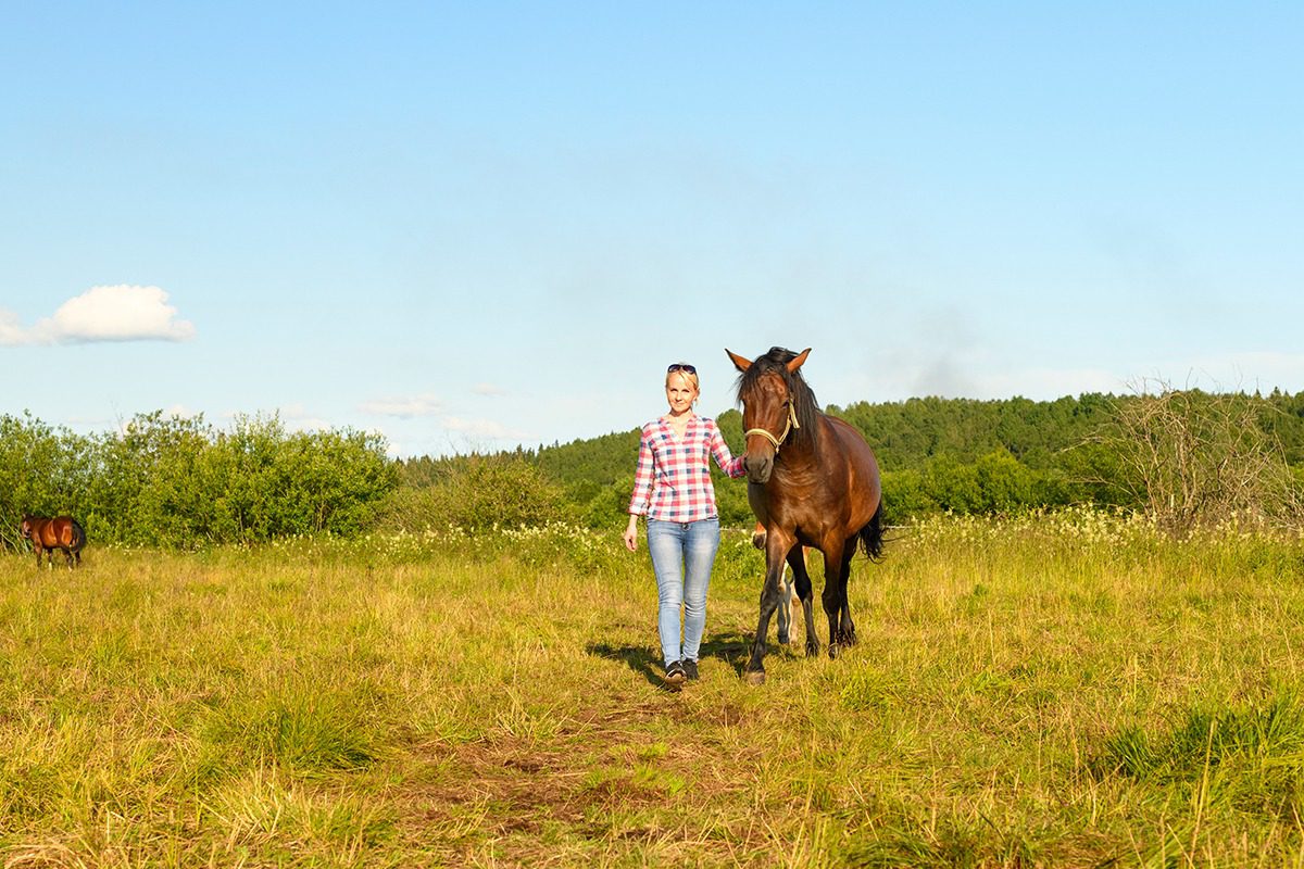 Girl and horse on grassy meadow walk