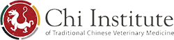 Chi Institute logo with dragon emblem