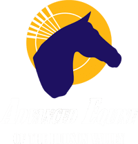 Advanced Equine of the Hudson Valley