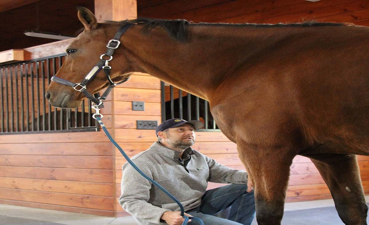Man kneeling beside a brown horse