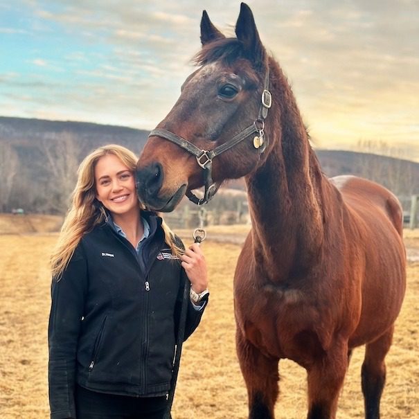 Person standing with a horse outdoors