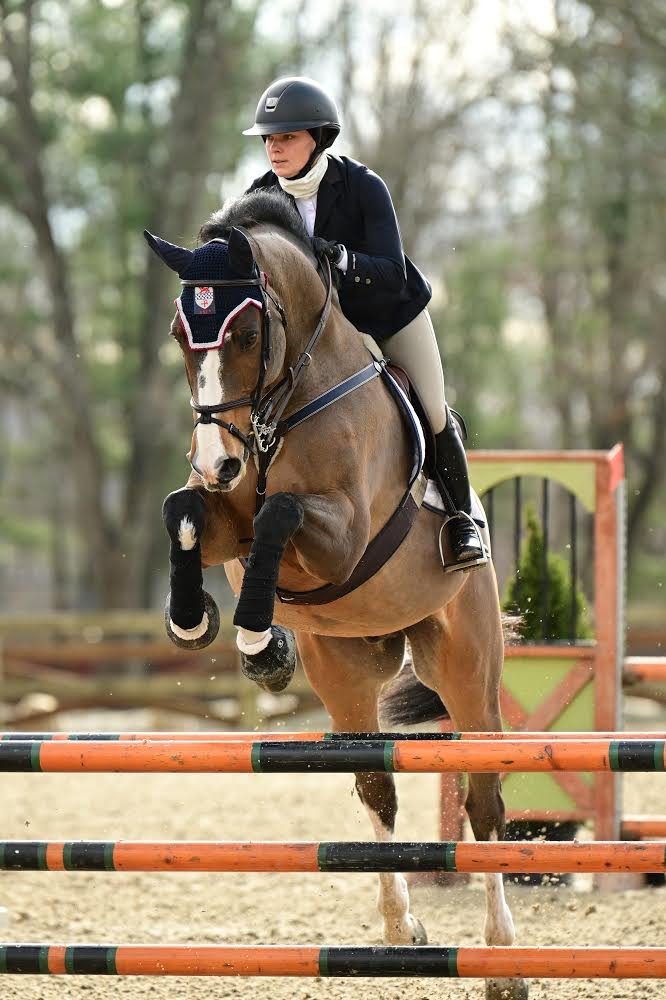 Equestrian jumping over hurdle