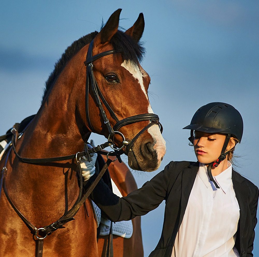 Equestrian and horse at sunset