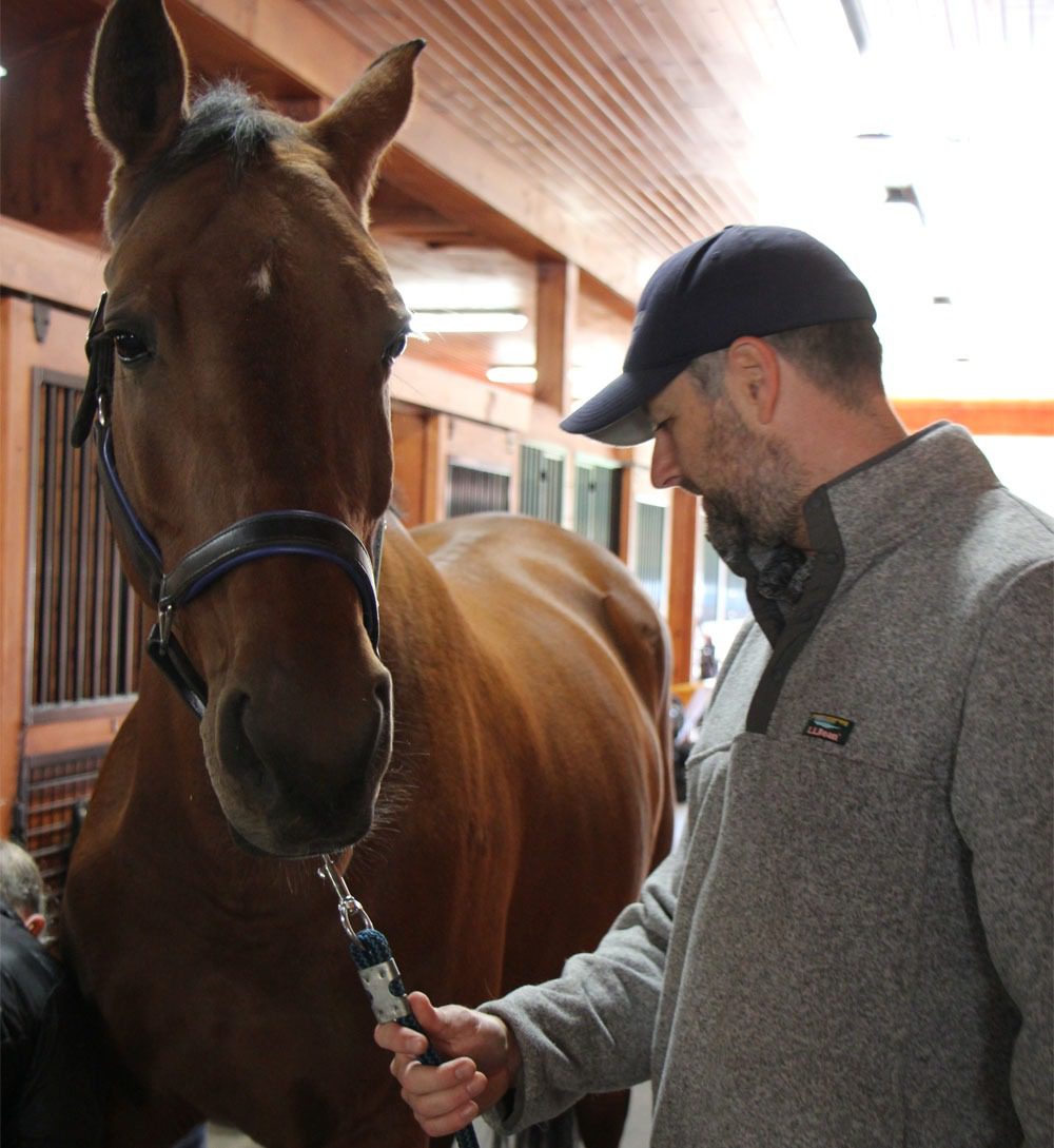 Man checking horse with device