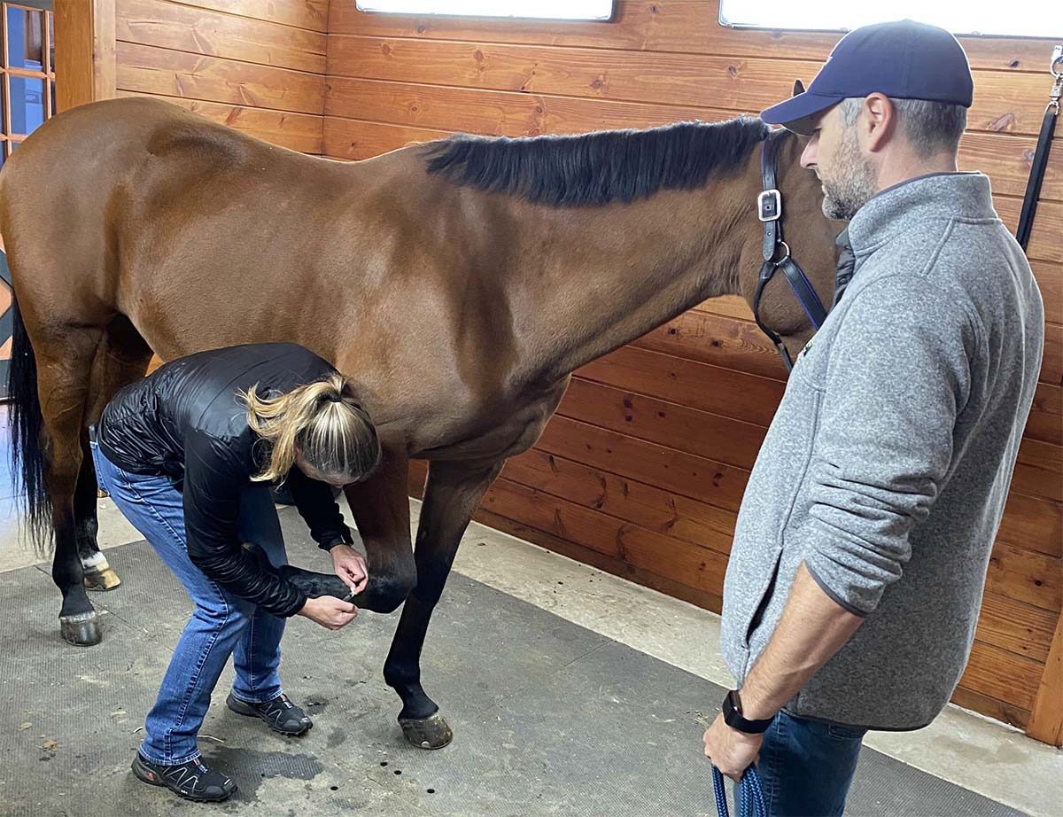 Woman tending to horse's leg in stable
