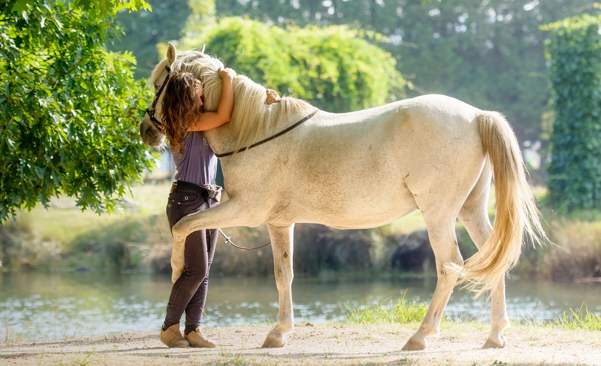 Outdoor scene with horse and human hug