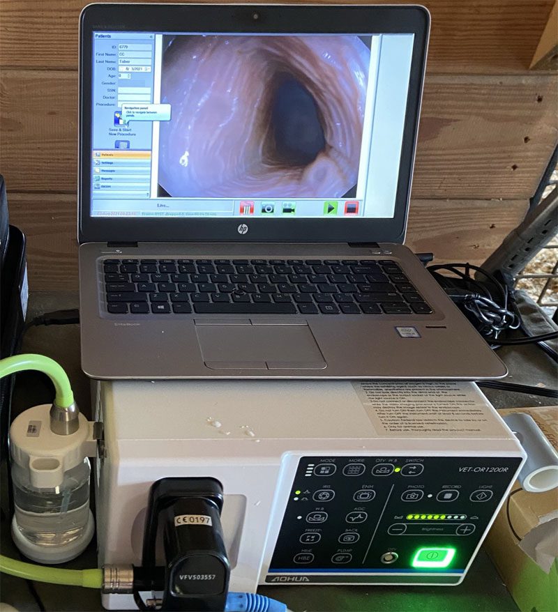 Laptop showing endoscopic image on screen