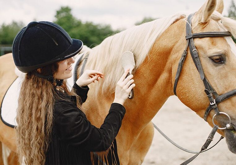 Horse rider caring for her horse