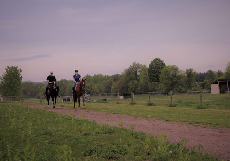 Two people horseback riding on trail