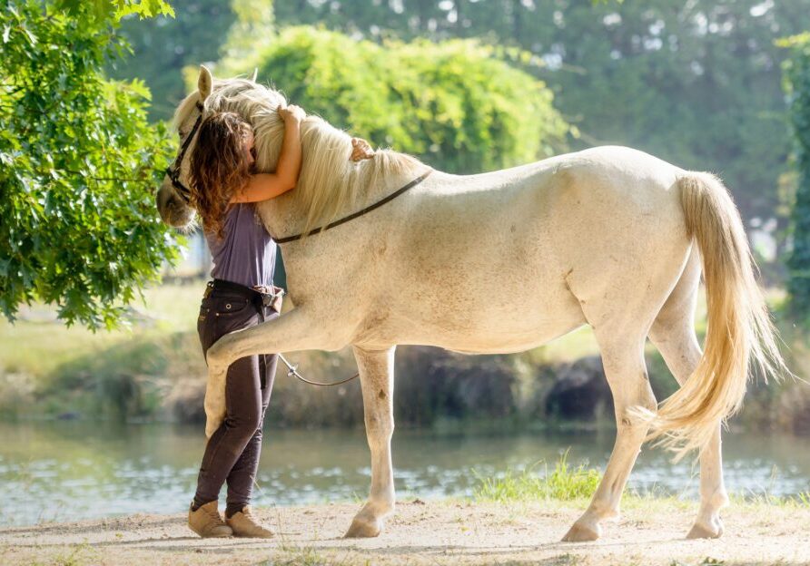 Outdoor scene with horse and human hug